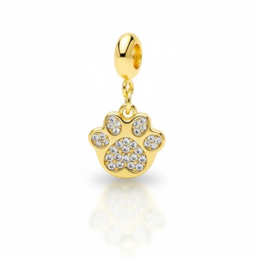 CHARM HUELLA