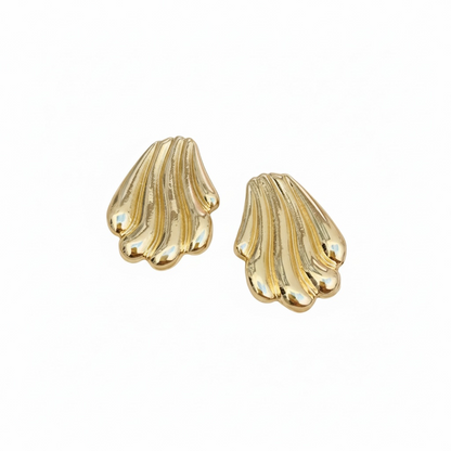 Arete Concha Lisa